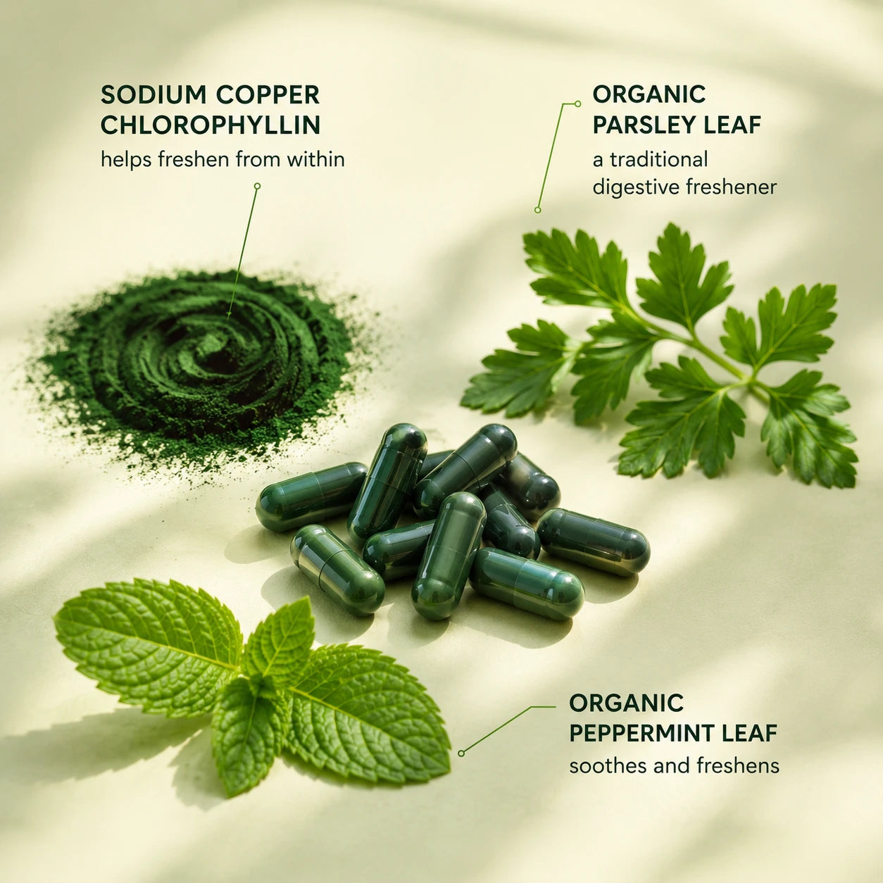 Onlegs — Daily Breath Capsules